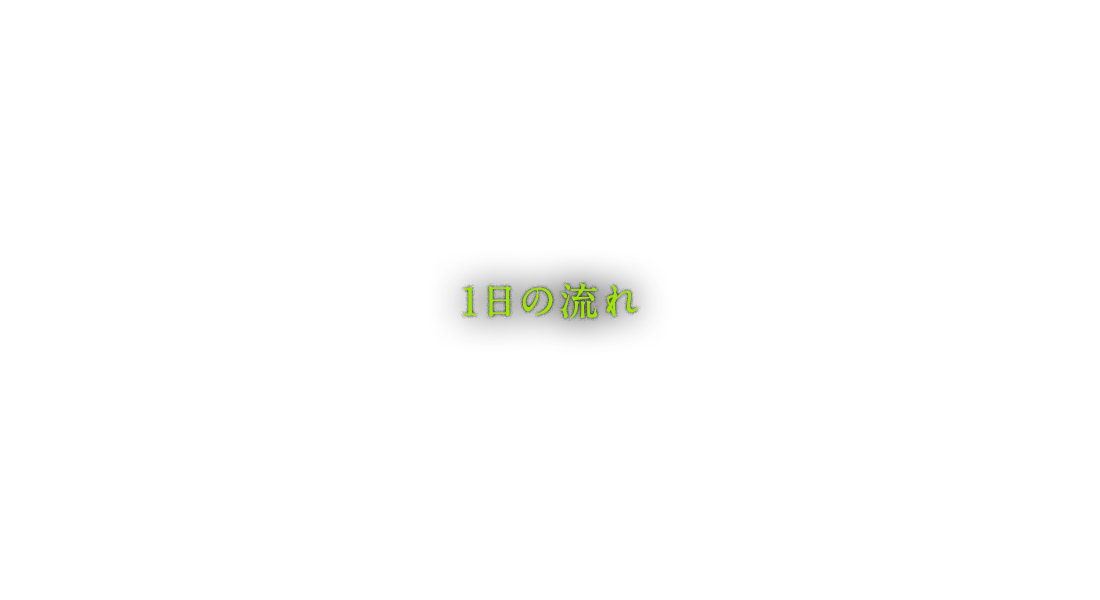 1日の流れ